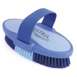 Equestria Oval Body Brush - Large -Ovation Store 1831055 blue