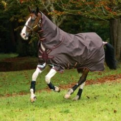 Amigo Bravo 12 (No Fill) - Neck Cover -Ovation Store 1840029 brownred 11