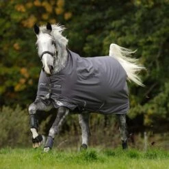 Amigo Bravo 12 Light Weight Turnout