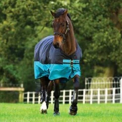 Amigo Mio Turnout Sheet 6 Amigo Mio Turnout Sheet -Ovation Store 1840177 black turquoise v2 11
