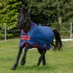 Amigo Mio Turnout Sheet 7 Amigo Mio Turnout Sheet -Ovation Store 1840177 darkbluered 2