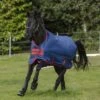 Amigo Mio Medium Weight Turnout -Ovation Store 1840191 amigo mio dark blue red 25