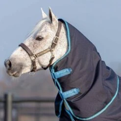 Amigo Bravo 12 Neck Cover - 150g -Ovation Store 1840195 navy turquoise 2