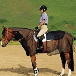 Cashel Quiet-Ride Bug Armor