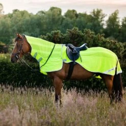 Horseware Amigo Fly Rider -Ovation Store 200674 yellow 1