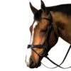 M. Toulouse Platinum Flash/Crank Dressage Bridle -Ovation Store 200827 1