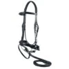Toulouse Dressage Bridle -Ovation Store 200838 6