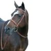 Rodgrigo Fancy Stitched Wide Noseband Show Bridle -Ovation Store 200842 3