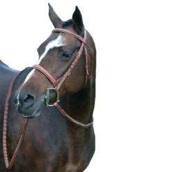Rodgrigo Fancy Stitched Wide Noseband Show Bridle