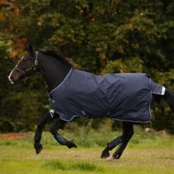 Amigo Bravo 12 Original Medium Weight Turnout -Ovation Store 201225 navystrongblue 21