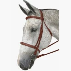 HDR Pro Mono Crown Fancy Padded Bridle -Ovation Store 201275 australiannut 5