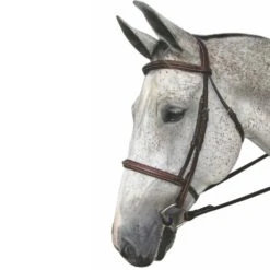 HDR Pro Mono Crown Fancy Padded Bridle -Ovation Store 201275 havana 4
