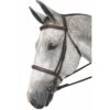 HDR Pro Mono Crown Fancy Padded Bridle -Ovation Store 201275 3