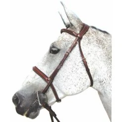 HDR Pro Mono Crown Padded Bridle 6 HDR Pro Mono Crown Padded Bridle -Ovation Store 201276 australiannut 4