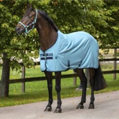 Amigo Stable Sheet -Ovation Store 201639 delphiniumbluenavy 1