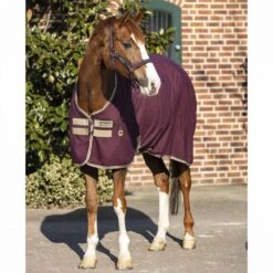 Amigo Stable Sheet -Ovation Store 201639 fig