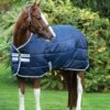 Amigo Insulator Stable Blanket Medium Weight