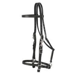 Weaver Leather Weaver Brahma Webb Halter/Bridle