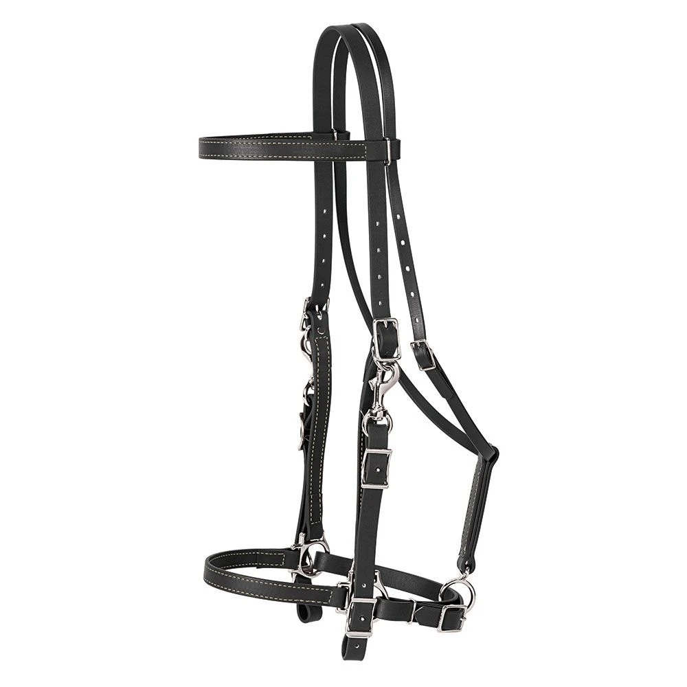 Weaver Leather Weaver Brahma Webb Halter/Bridle 3 Weaver Leather Weaver Brahma Webb Halter/Bridle