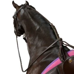 Kincade Anti-Grazing Straps