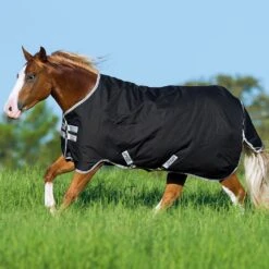 Amigo Stock Horse Turnout Medium Weight