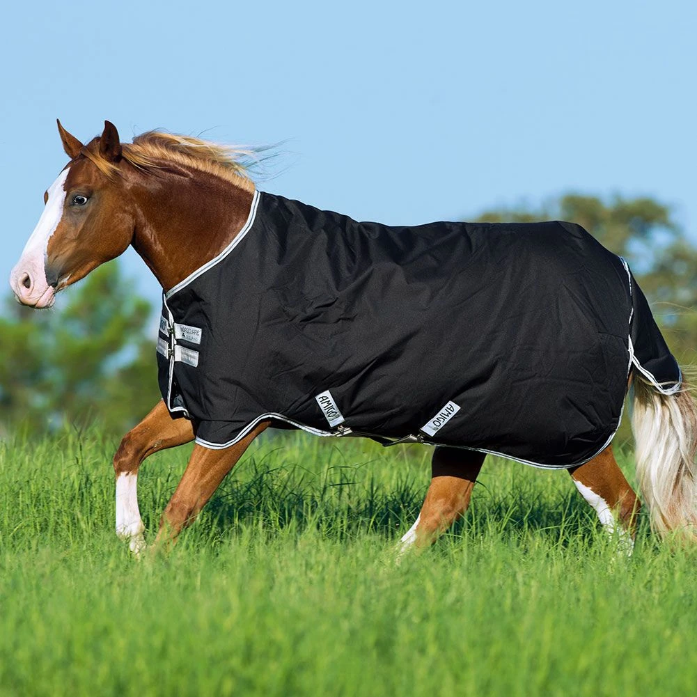 Amigo Stock Horse Turnout Medium Weight 3 Amigo Stock Horse Turnout Medium Weight