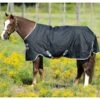 Amigo Stock Horse Turnout Lightweight