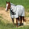 Amigo Stock Horse Fly Sheet -Ovation Store 202784 silver black 9
