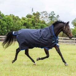 Amigo Bravo 12 Medium Weight Wug-Exclusive Color -Ovation Store 203124 8 1 1