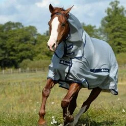 Bucas Buzz Off Full Neck Fly Sheet -Ovation Store 203649 front view