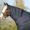 Amigo Bravo 12 XL Lightweight Neck Rug -Ovation Store 203785 2