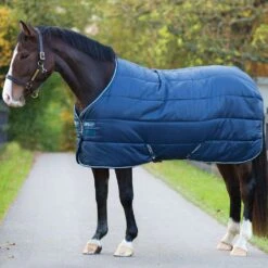 Amigo Insulator Lite 100g Stable Blanket