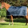 Horseware Pony Liner 200g -Ovation Store 203962 3
