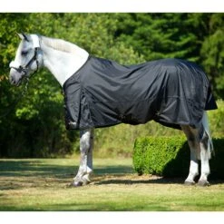 Back On Track Turnout Sheet