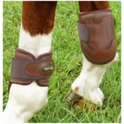 Amerigo Pialotta Fetlock Boots II With Velcro -Ovation Store 204233 oakbark 1