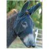 Cashel Quiet Ride Long Nose Mask With Mule Ears -Ovation Store 204260 2