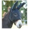 Cashel Quiet Ride Standard Mask With Mule Ears -Ovation Store 204261 1