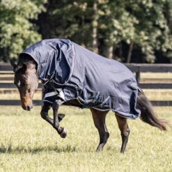 Amigo Bravo 12 Plus Medium V-Front-Exclusive Color