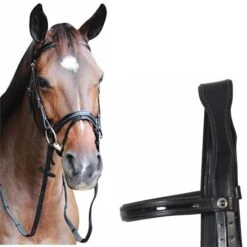 HDR Piaffe Mono Crown Dressage Bridle