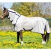 Amigo Mio Pony Fly Sheet -Ovation Store 204848 2