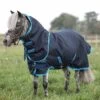 Amigo Petite Hero 6 Plus Medium Weight Turnout -Ovation Store 204869 navy electric 4