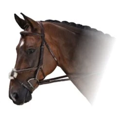 M. Toulouse Amelie Figure 8 Bridle With Reins