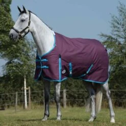 Weatherbeeta ComFiTec Essential Medium Weight -Ovation Store 205193 GRAPE