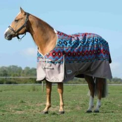 Weatherbeeta ComFiTec Essential Medium Weight -Ovation Store 205193 aztec 20