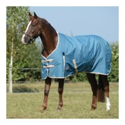 Weatherbeeta ComFiTec Essential Medium Weight -Ovation Store 205195 teal 29