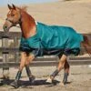 Saxon 1200D Standard Neck Heavy II Turnout Blanket