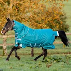 Amigo Bravo 12 Plus Heavy Weight Turnout