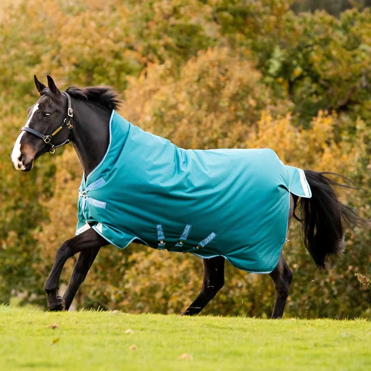 Amigo Bravo 12 Heavy Weight Wug Storm Green/Turquoise 69 3 Amigo Bravo 12 Heavy Weight Wug Storm Green/Turquoise 69