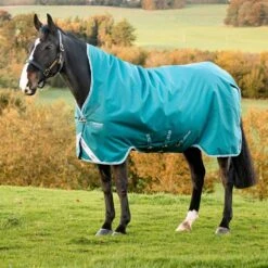 Amigo Bravo 12 Medium Weight Wug -Ovation Store 205874 storm green aqua 9