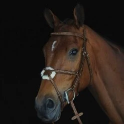 Collegiate Fancy Raised Jumper Figure 8 Bridle -Ovation Store 206144 brown 4